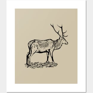 Red deer Posters and Art